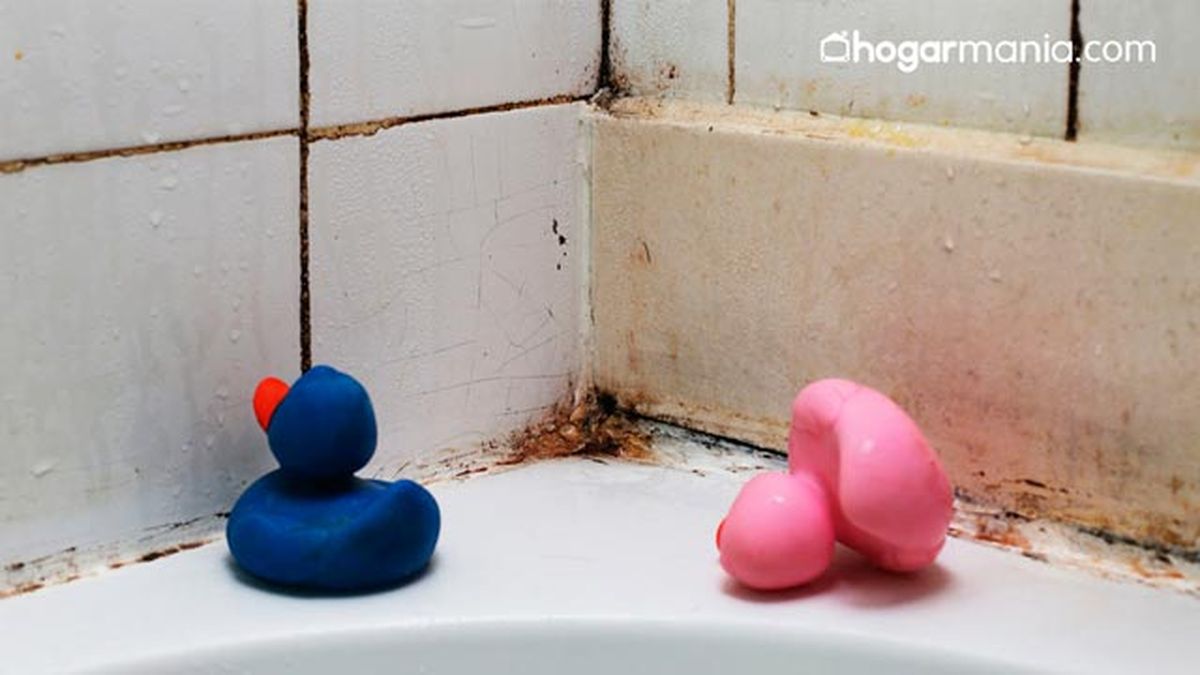 como eliminar moho banera limpieza banos