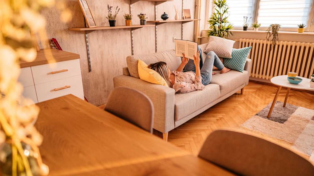 Salón pequeño y acogedor perfecto para la lectura.