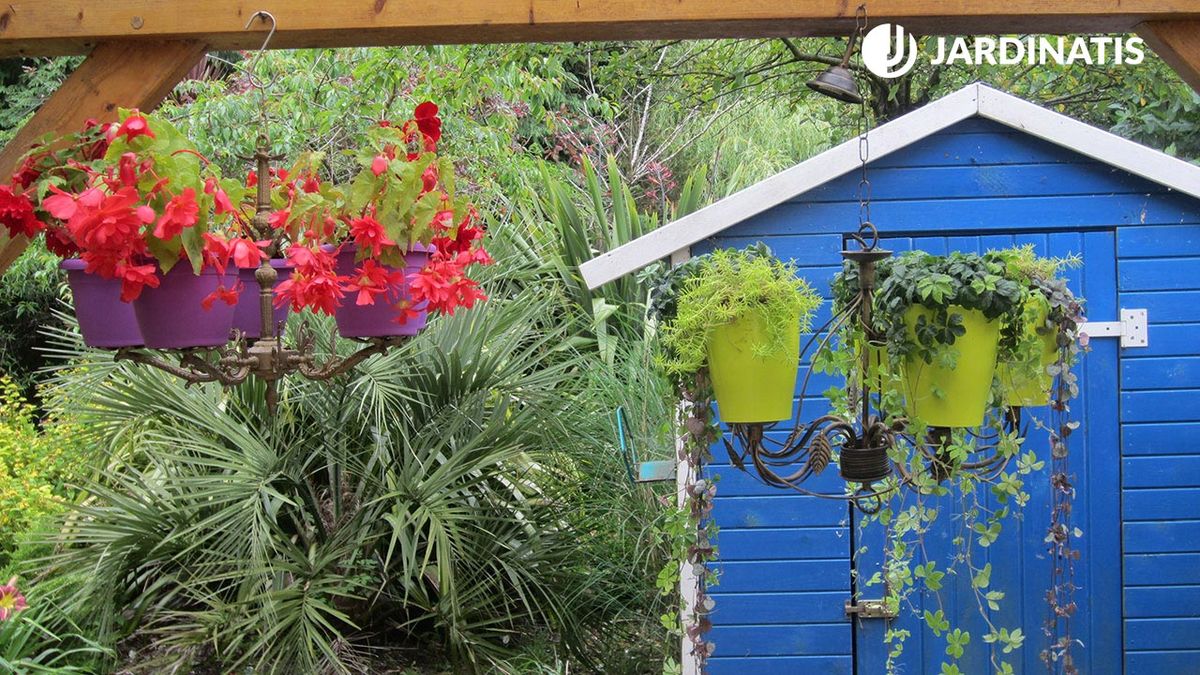 convierte tus lamparas de arana en maceteros colgantes xl