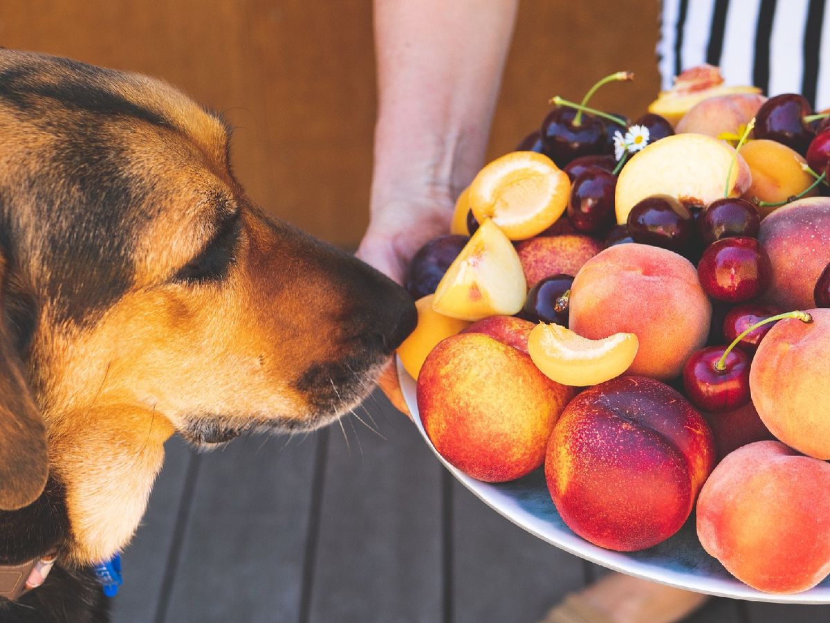 Los huesos de las cerezas y melocotones contienen cianuro