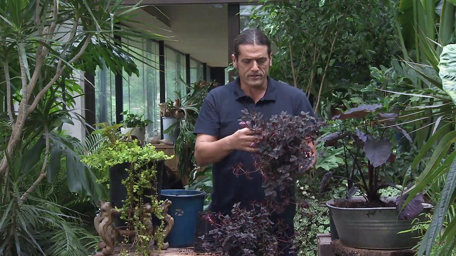programacion jardinatis 6 7 junio 2020