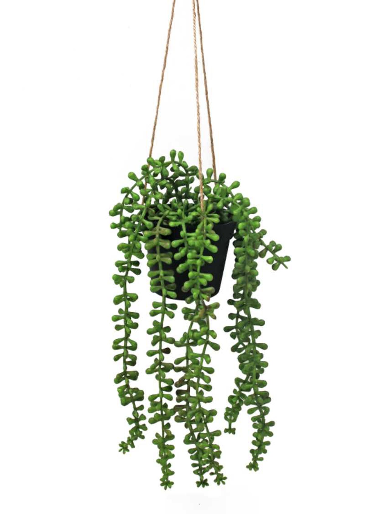 Suculenta colgante artificial.