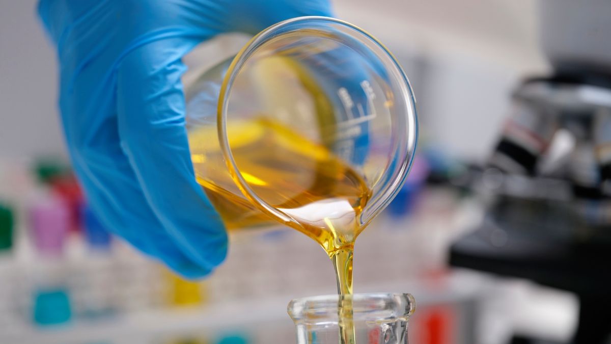 España permitirá producir nuevos aceites vegetales con un cambio en la normativa tras 40 años