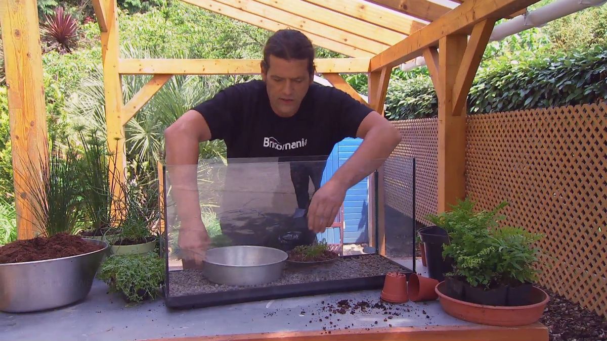 brico 881 3 humedal pecera paso 3