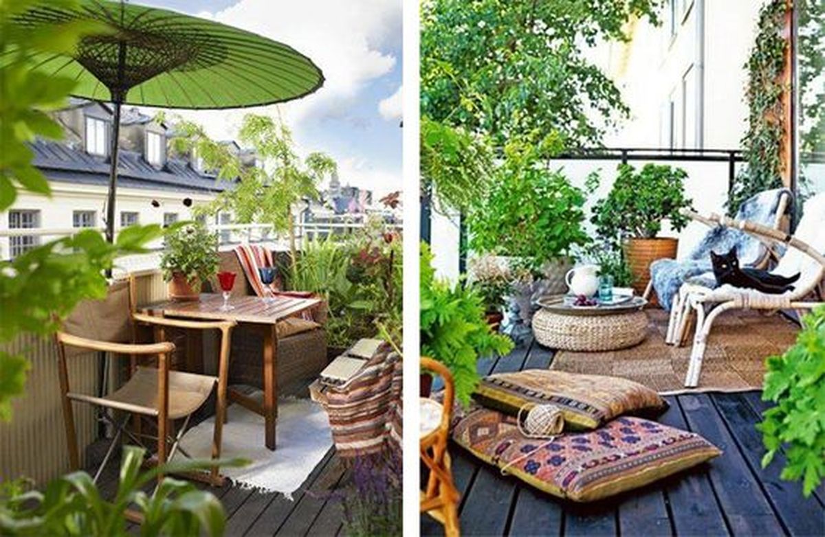 urban jungle terraza