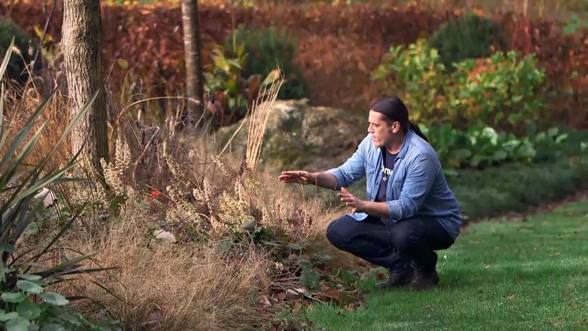 971 jardineria euchera hoja grande cubresuelos