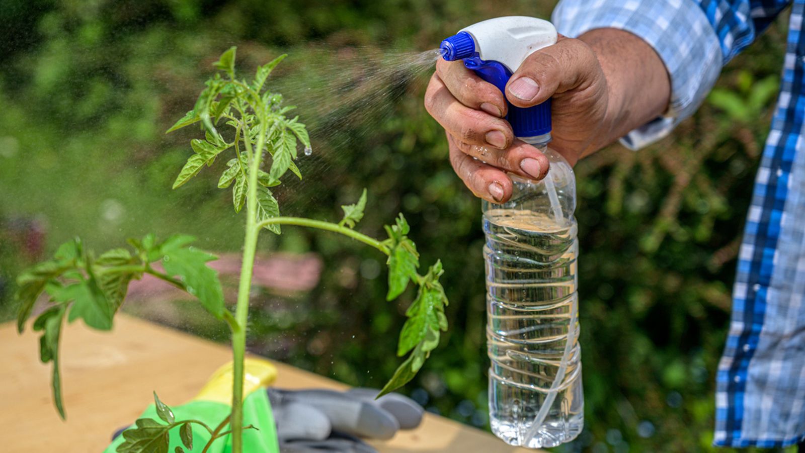 botella de plastico convertida en regadera conpulverizador