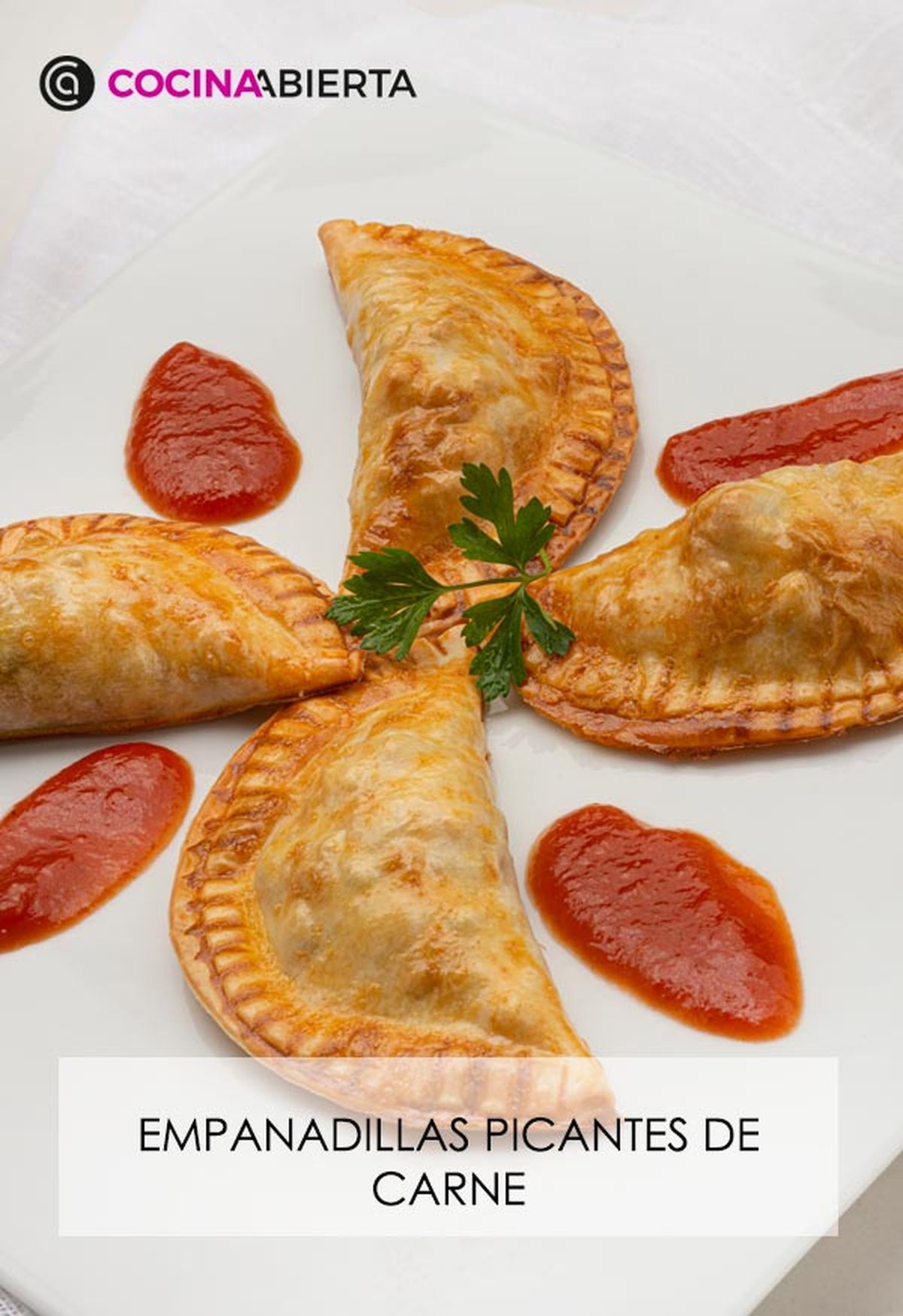 karl6672 empanadillas picantes v