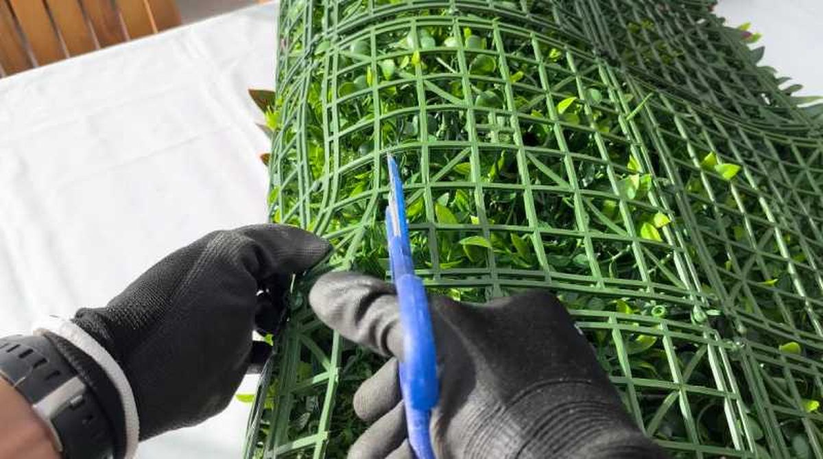 Cortar jardín vertical para adaptarlo a la pérgola.