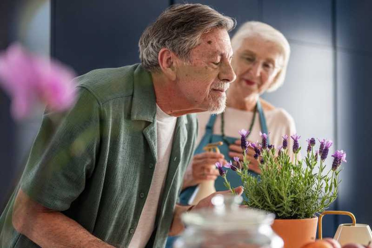 La lavanda produce un olor muy agradable.