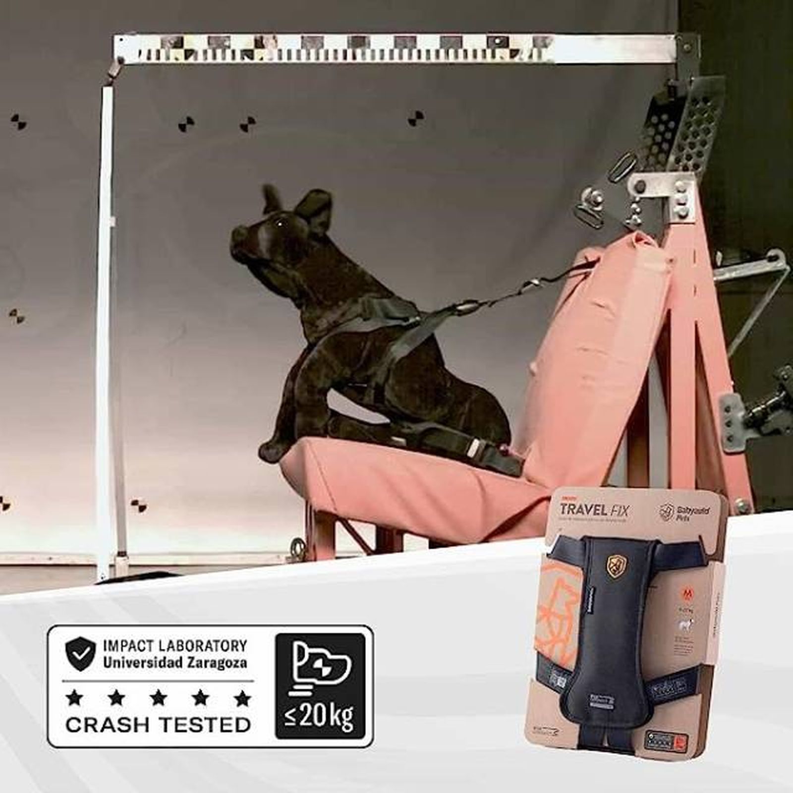 arnes seguridad coche perro babyauto pets amazon