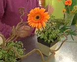 DEKO_ARTE_FLORAL_020_Centro floral de gerberas y ramas de avellano p4