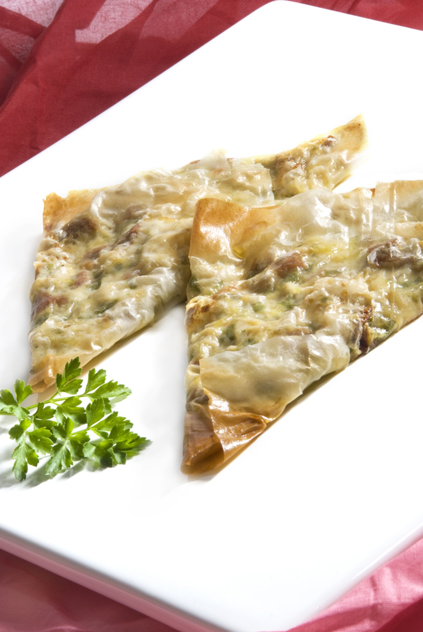 1023 triangulos queso pollo xl