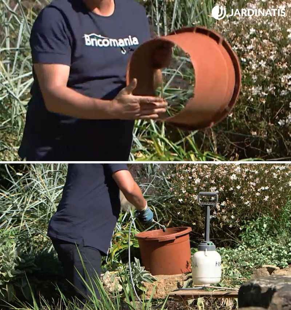 Protege la zona con una maceta sin base