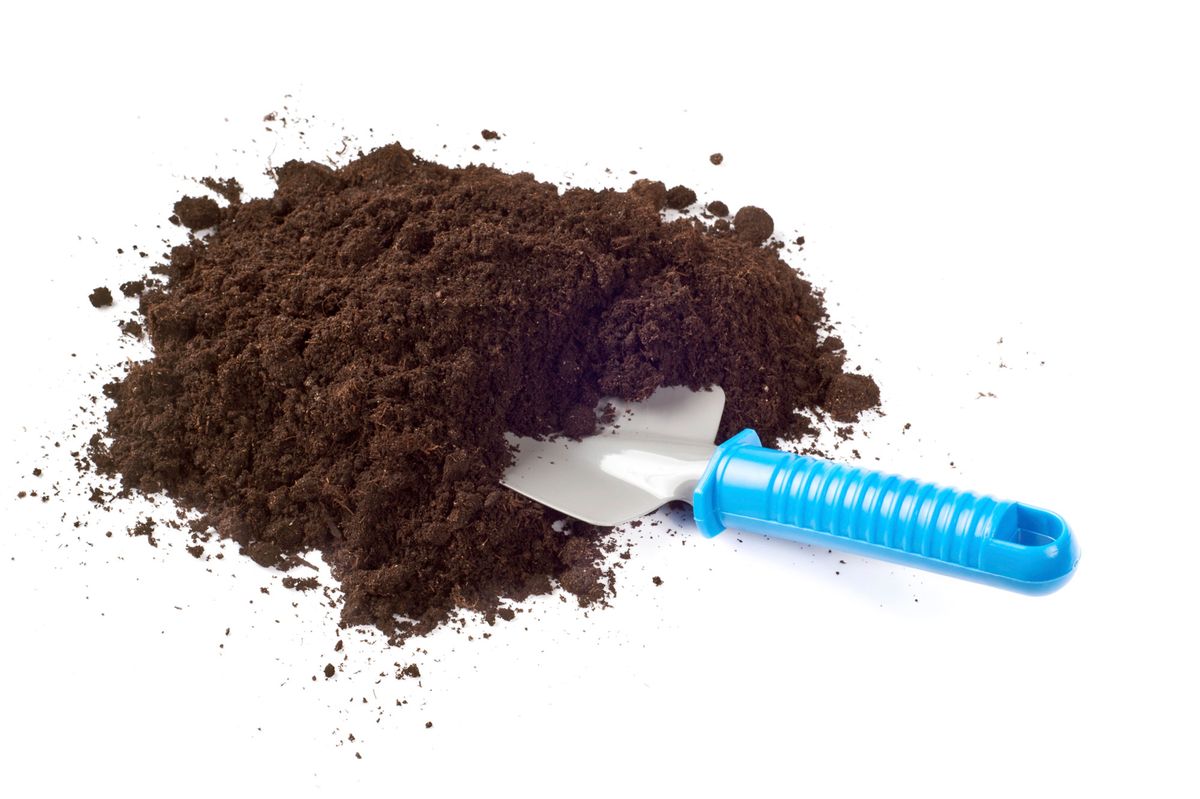 Cómo hacer sustrato