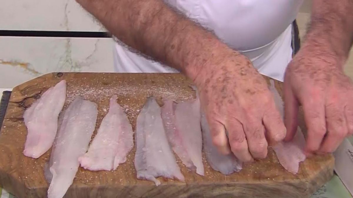 karl6640 filetes gallo p4