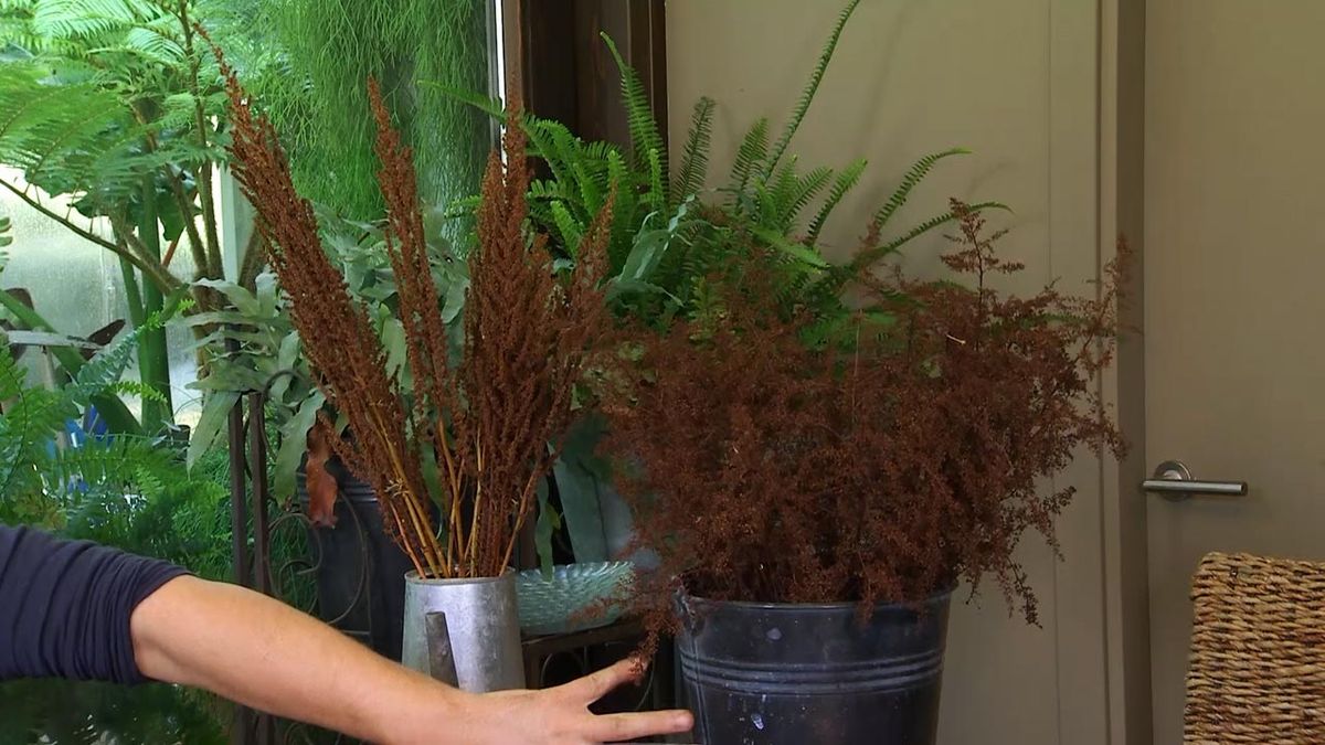 deco 602 arreglos flores con astilbes 1