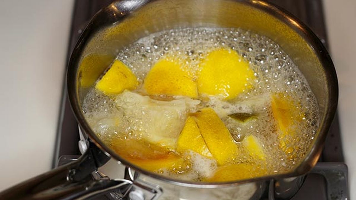 repelentes caseros contra pulgas garrapatas 7