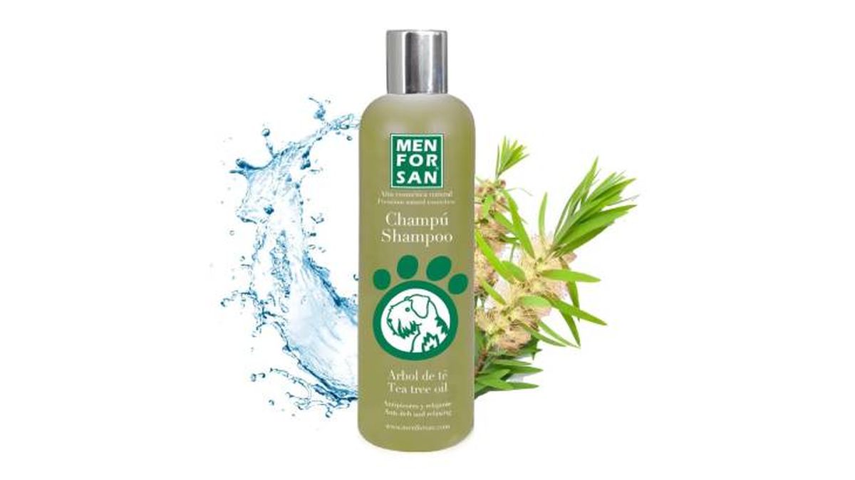 champu natural perros amazon menforsan