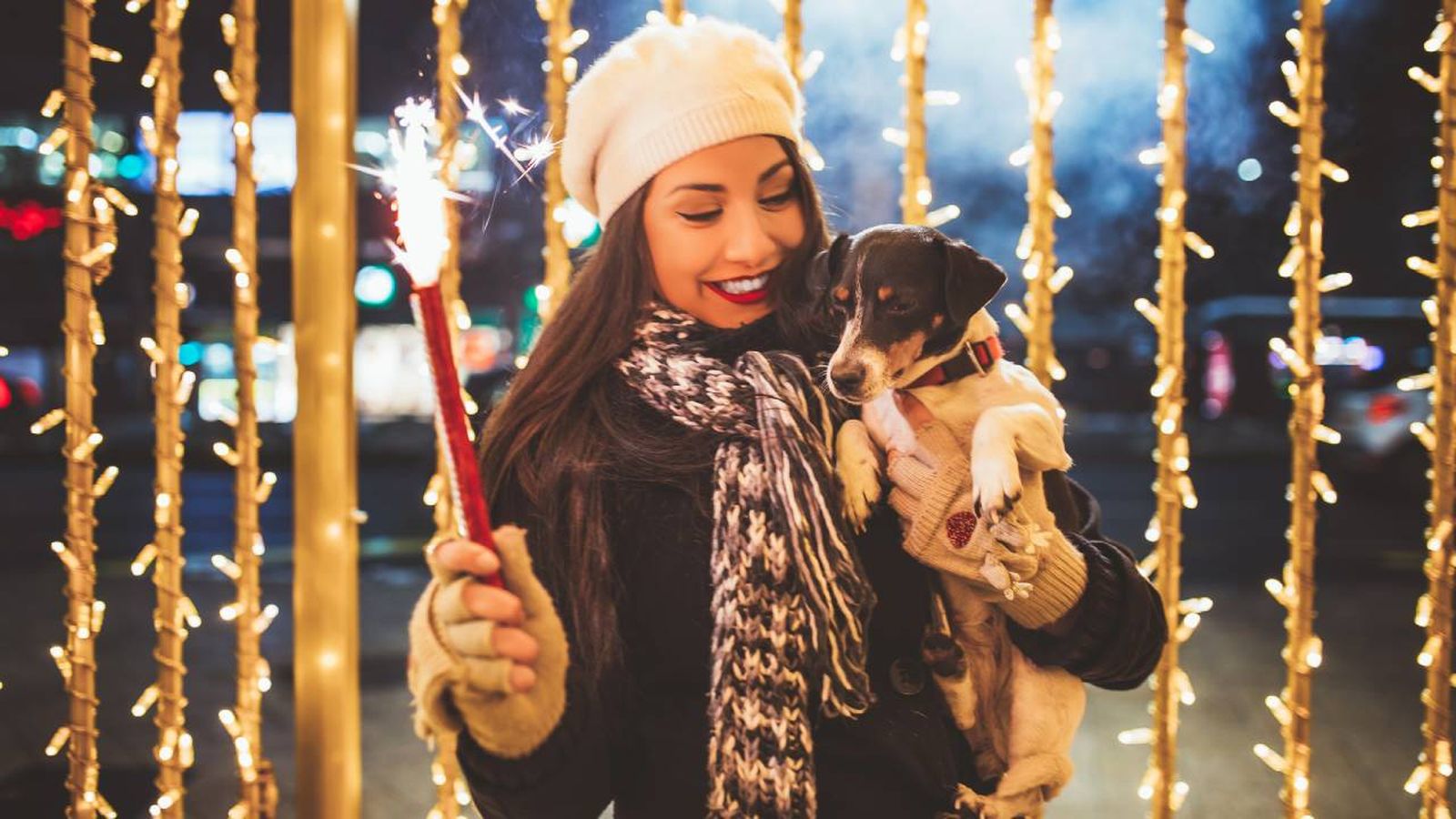 consejos para que tu perro supere el miedo a los petardos (2)