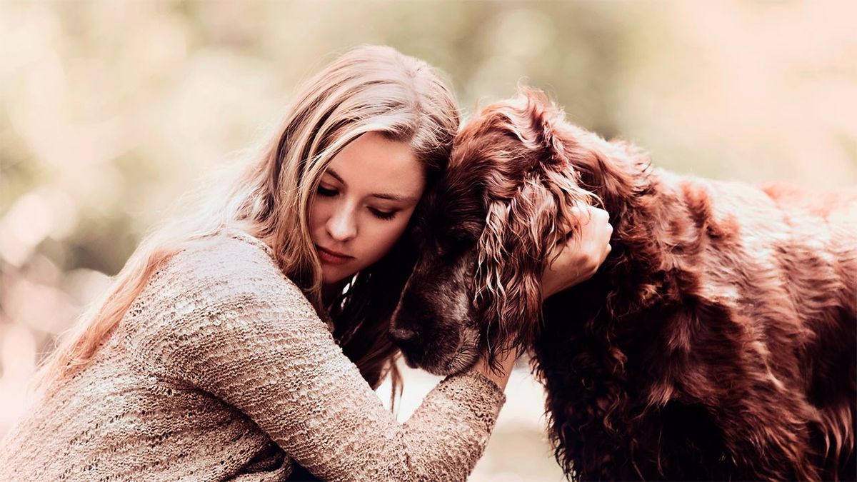 6 consejos evitar cancer perros portada