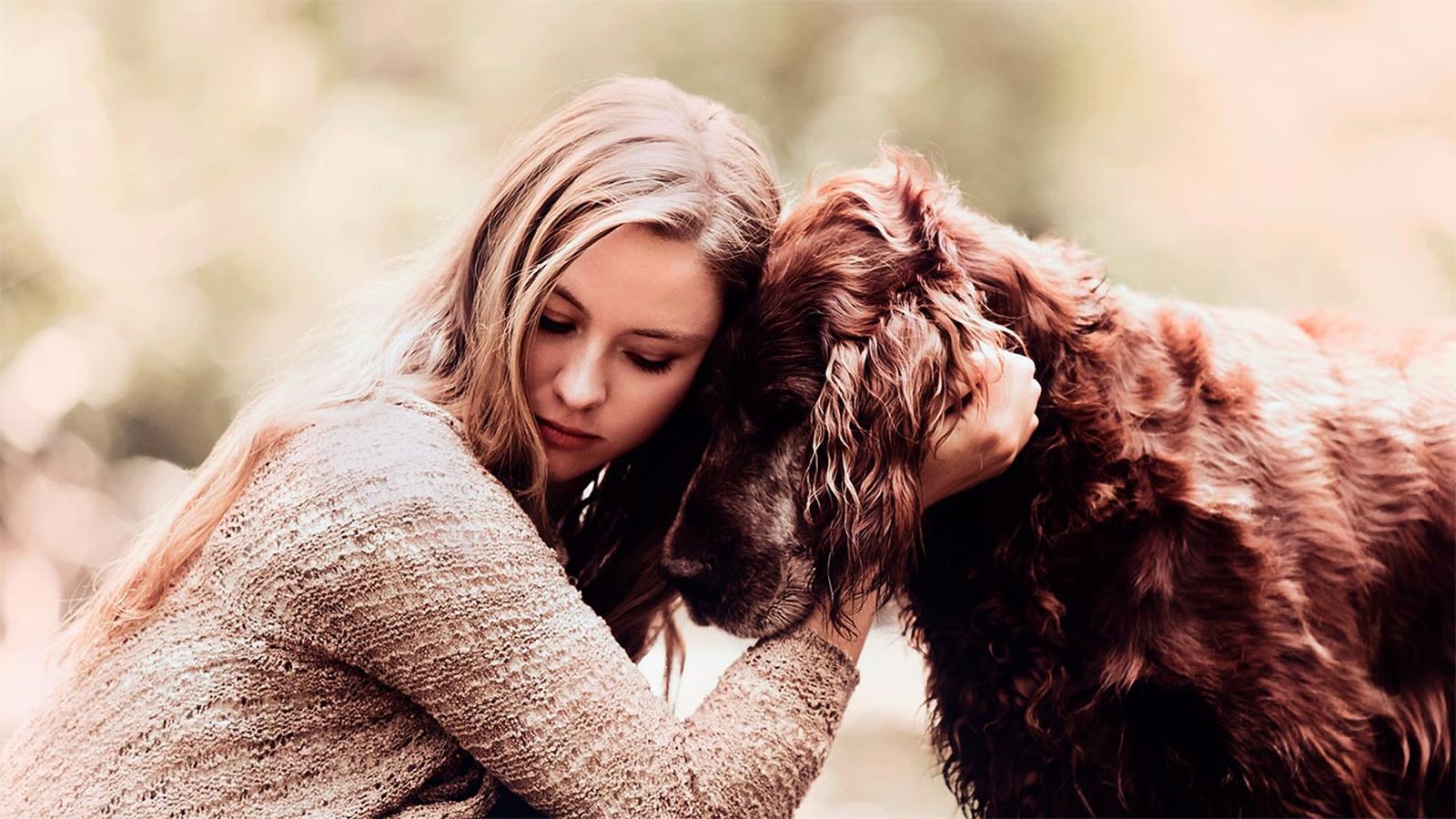 6 consejos evitar cancer perros portada