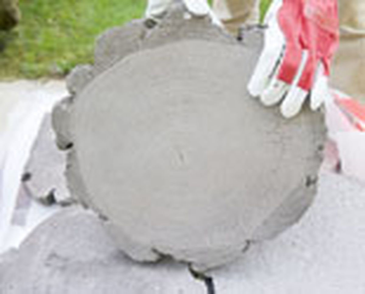 558 paso japones p01