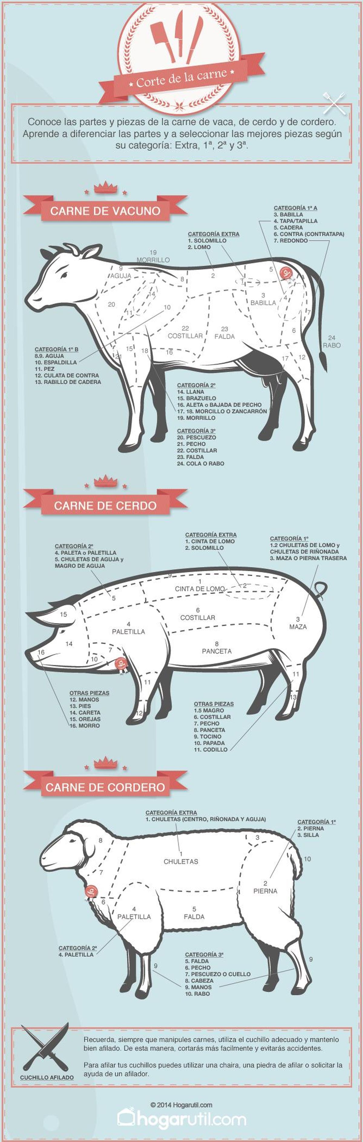 infografia corte carne