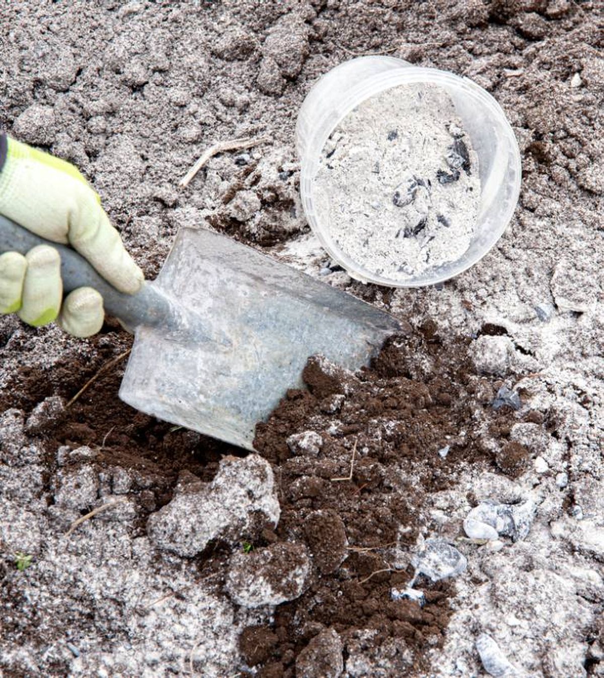 mezcla tierra ceniza para las plantas