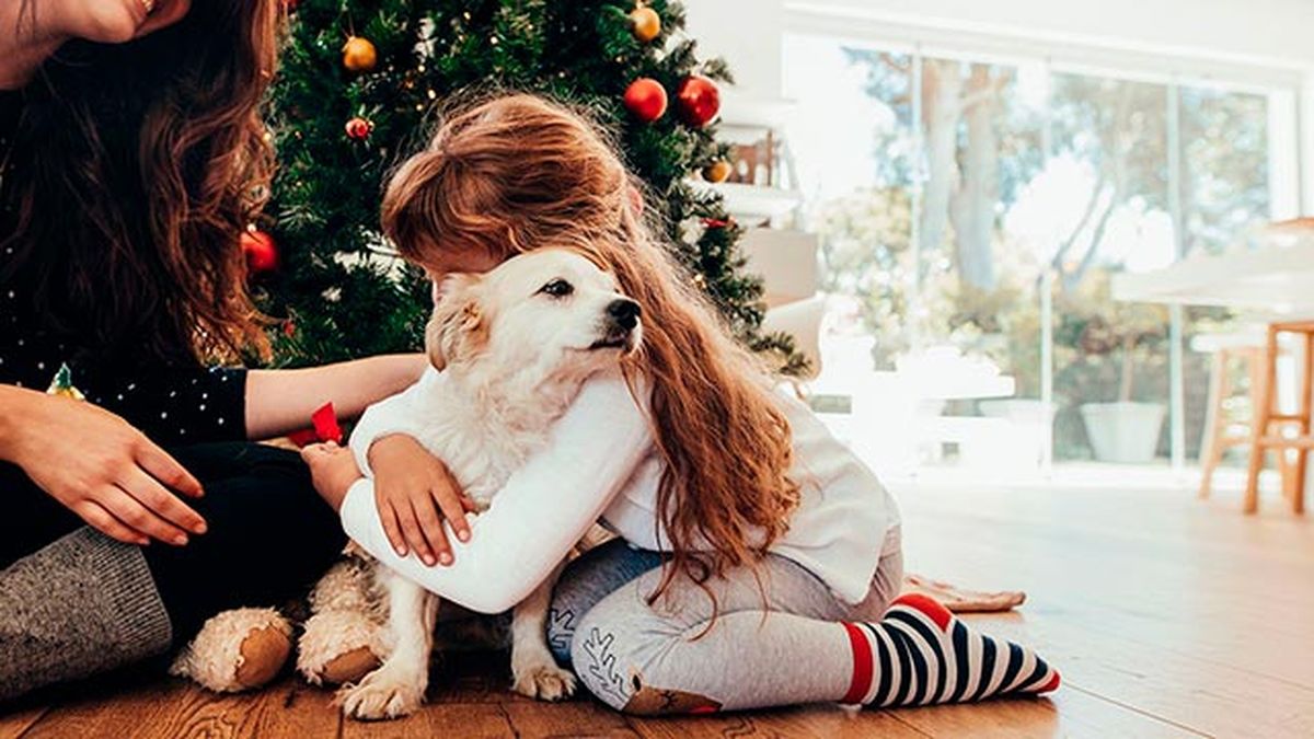 No adquirirán del todo el compromiso que implica tener una mascota.