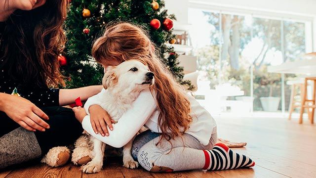 No adquirirán del todo el compromiso que implica tener una mascota.
