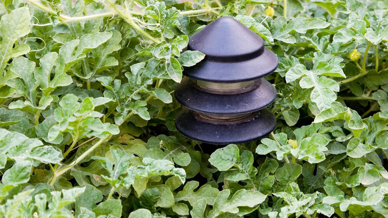 Instalar foco de jardin