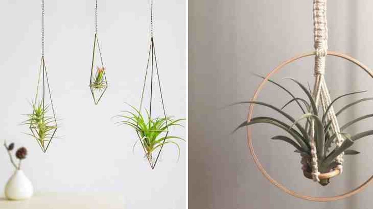 idea colgar claveles del aire 3