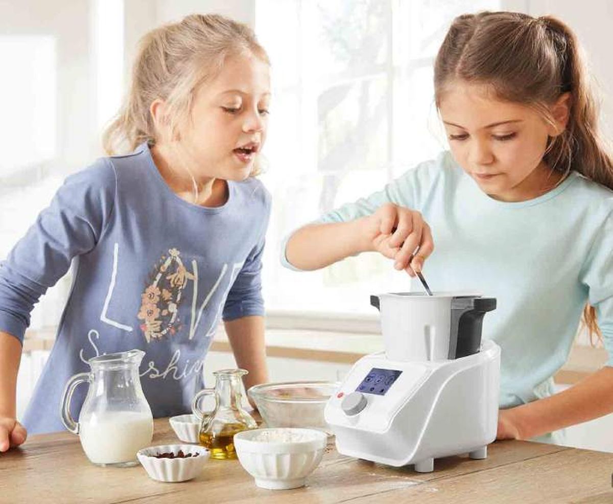 mini monsieur cuisine lidl