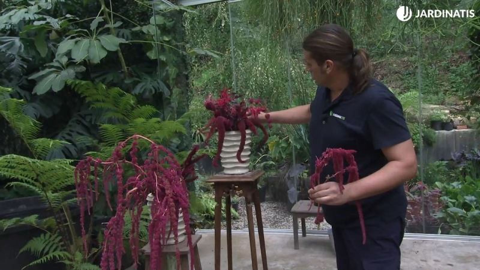 Arreglos florales con amarantos