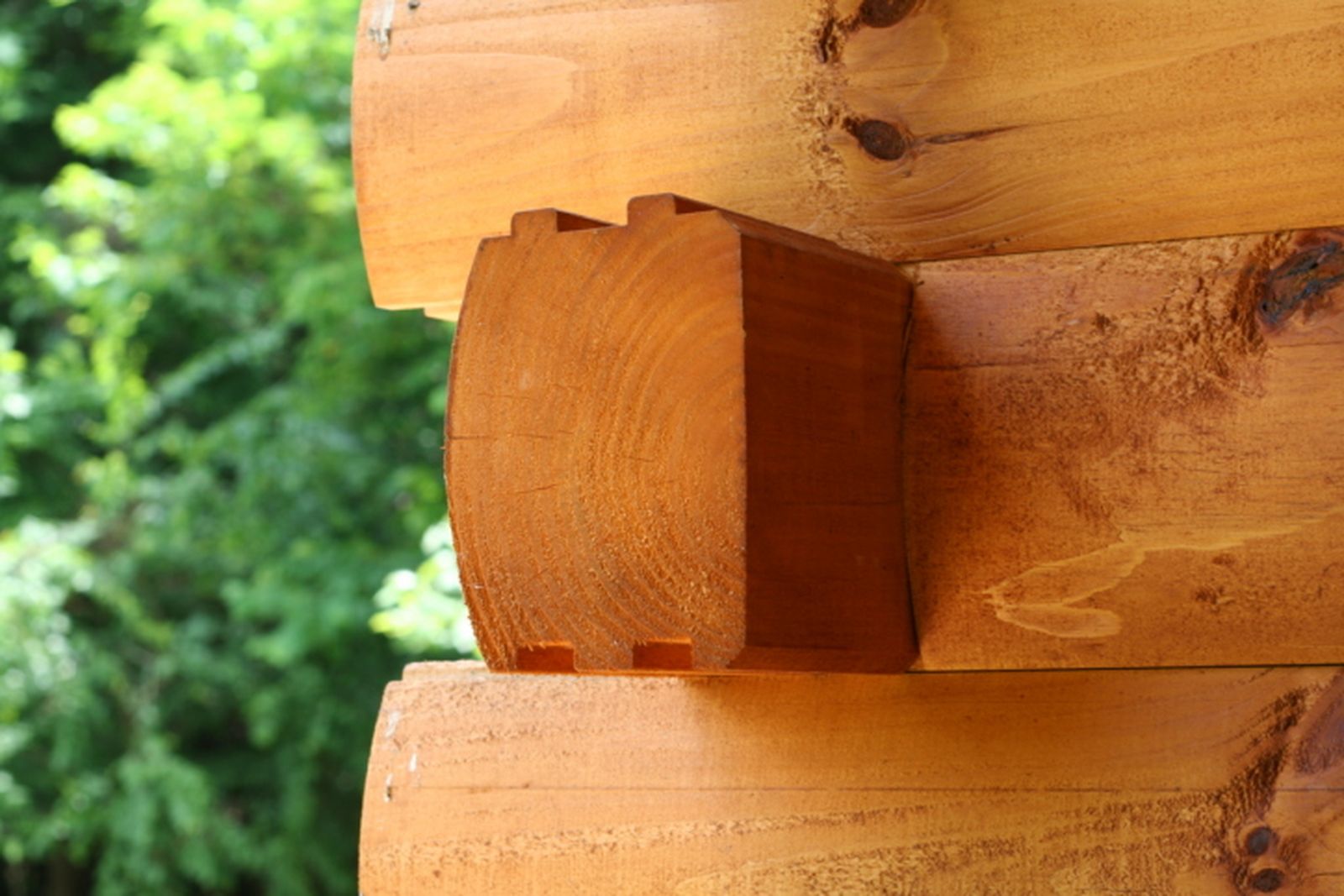 Escopladura o unión con espiga y mortaja a caja