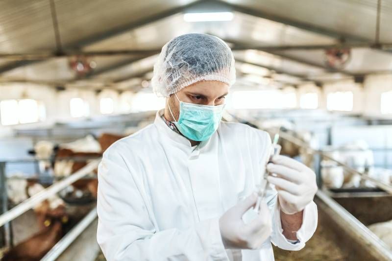 Los síntomas pueden variar en función de la especie del animal y de la cepa del virus.