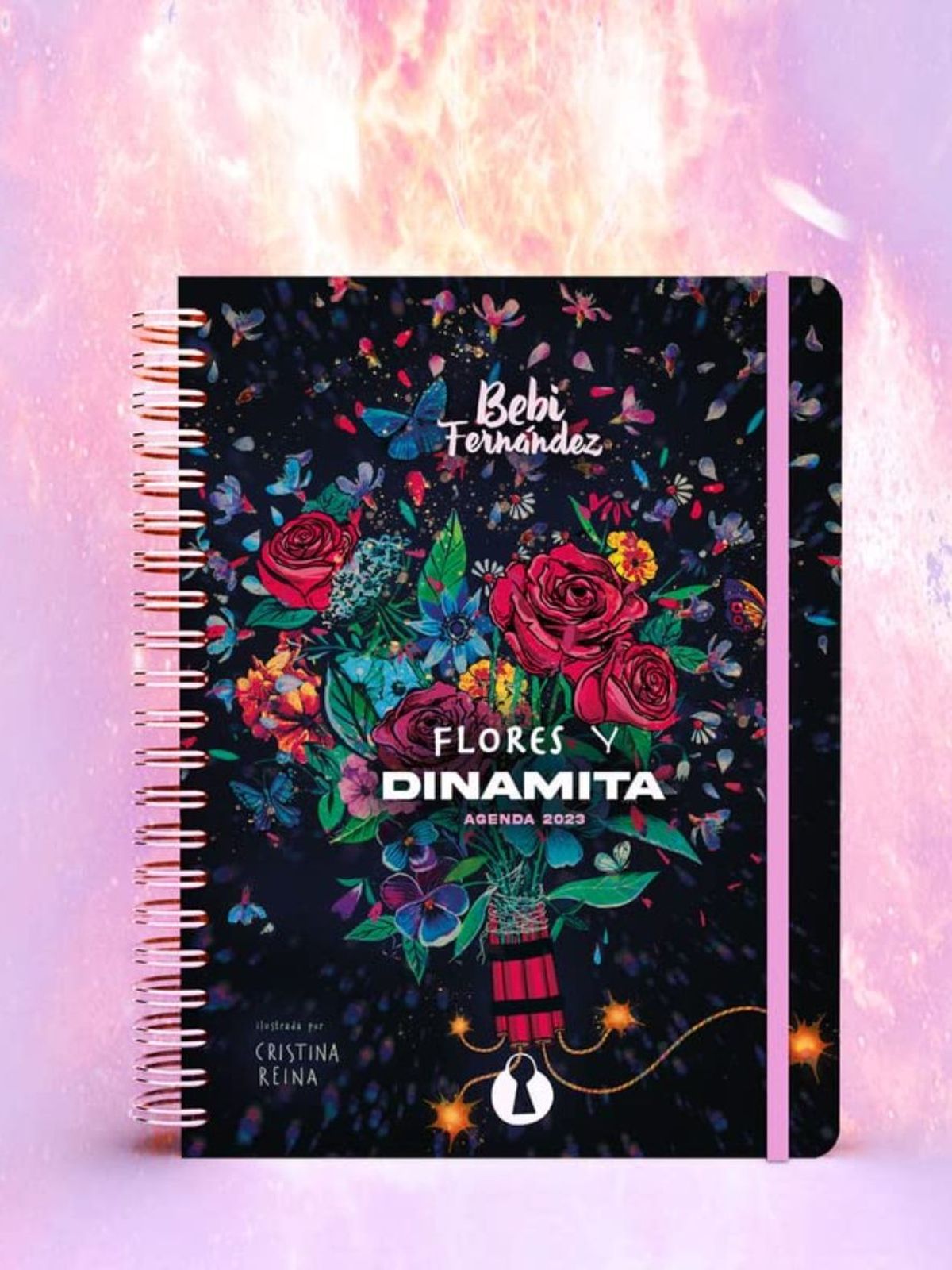 agenda 2023 bebi fernandez