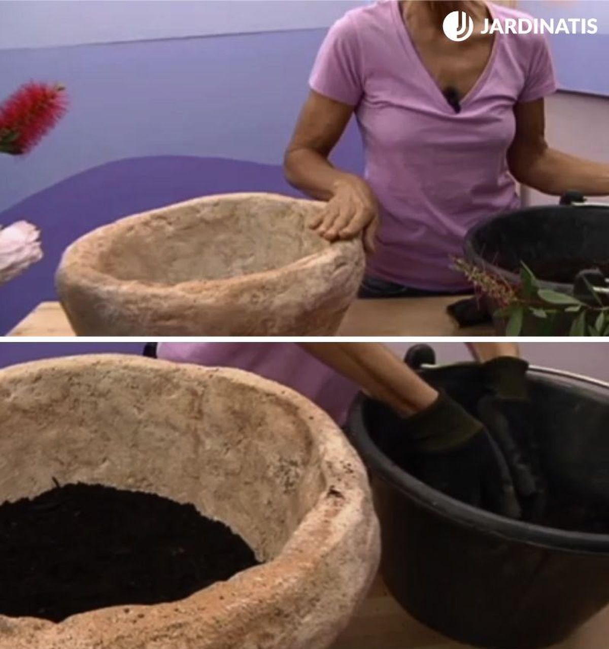 Selecciona una maceta baja y ancha