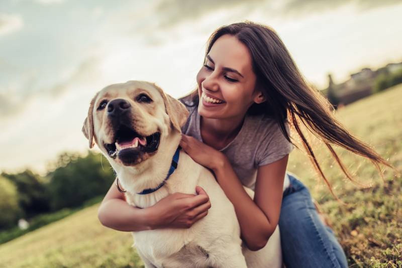 Antes de adoptar un perro es preciso conocer los cuidados que requiere.