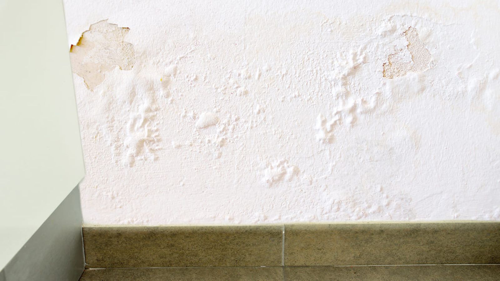 humedad por capilaridad 1