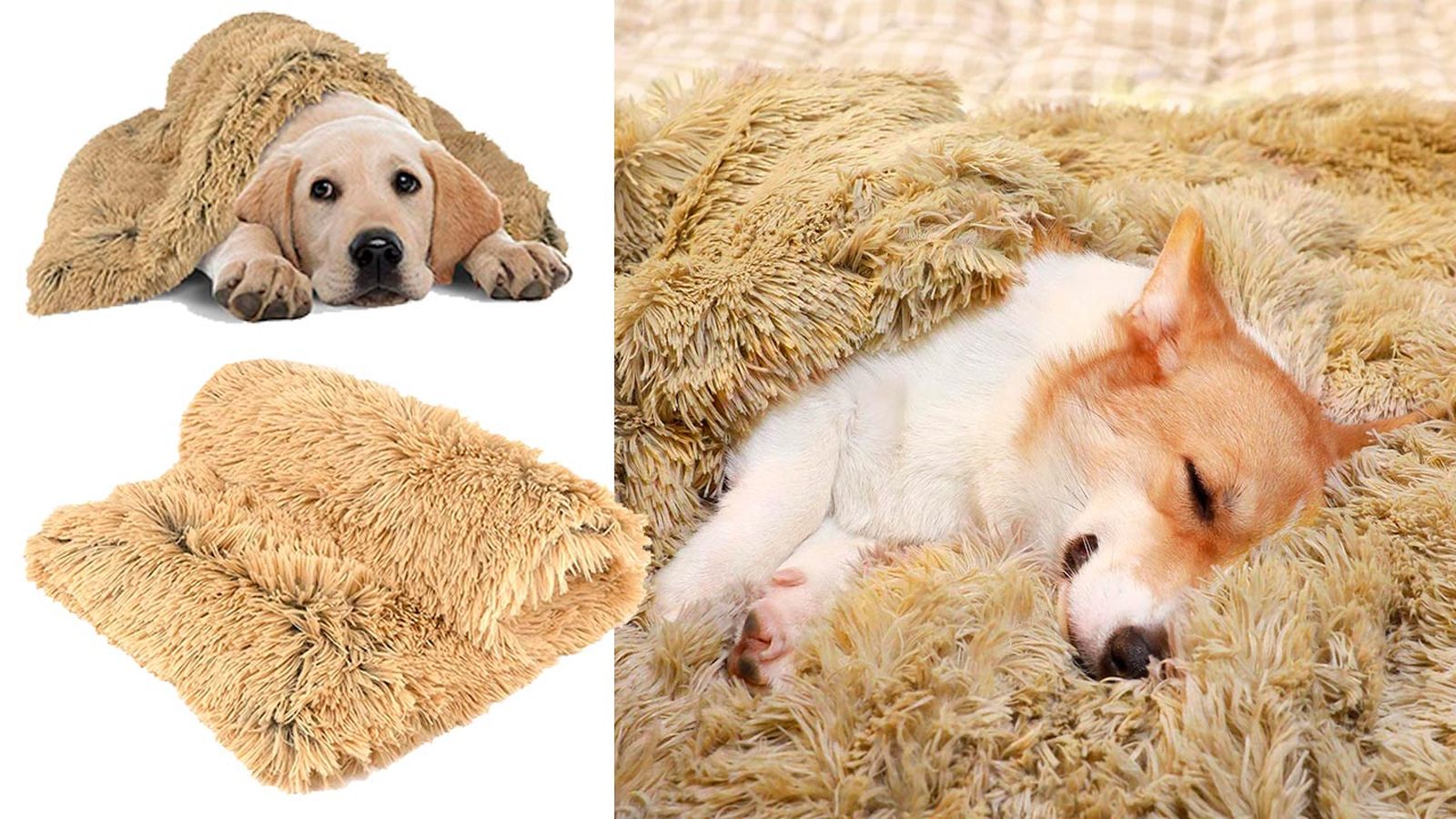 mantitas economicas perros gatos 7