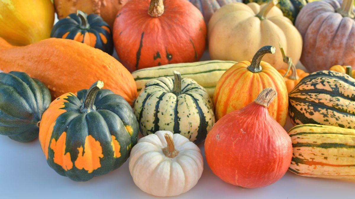 calabaza tipos como cocinarla