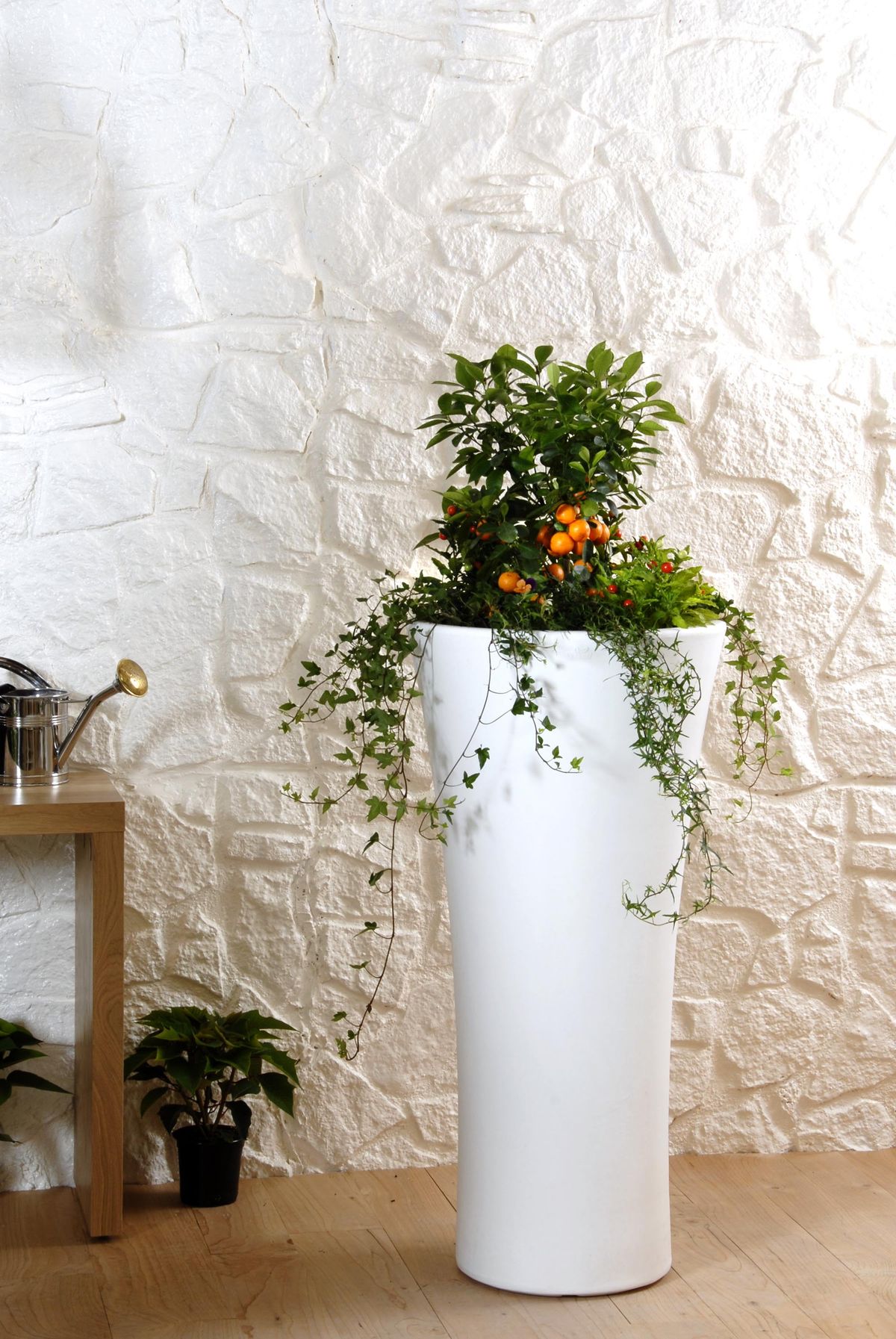 deco 0221 kumkuat xl