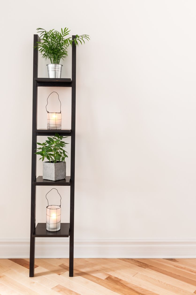 plantas=decoracion4