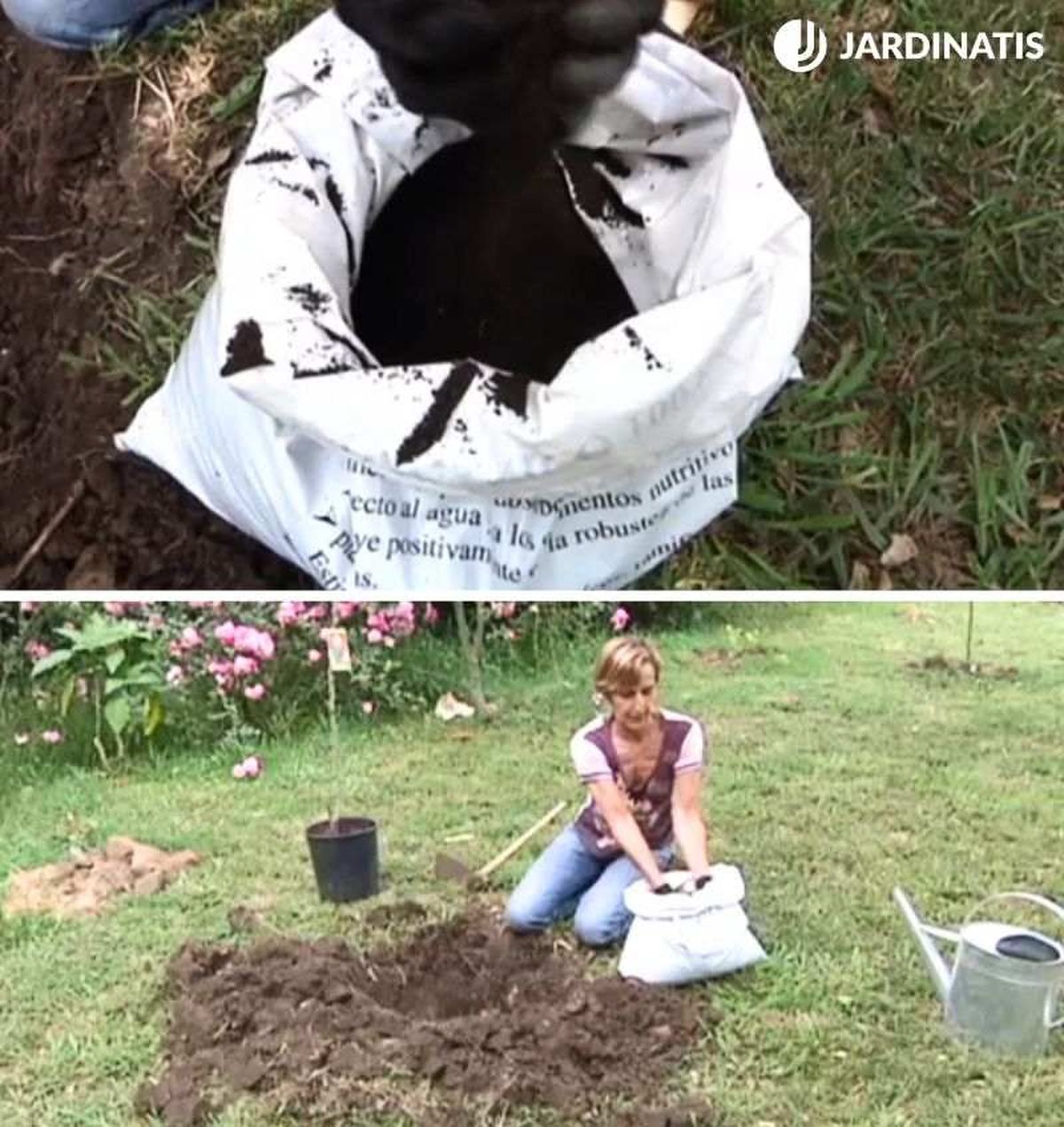 Prepara el hoyo de plantación