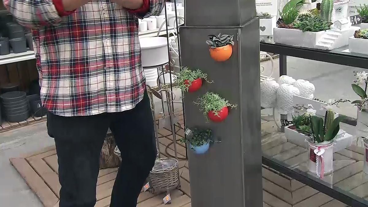 deco 565 plantas en miniatura tiesto con iman