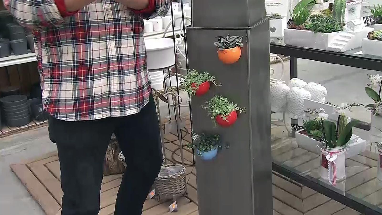 deco 565 plantas en miniatura tiesto con iman