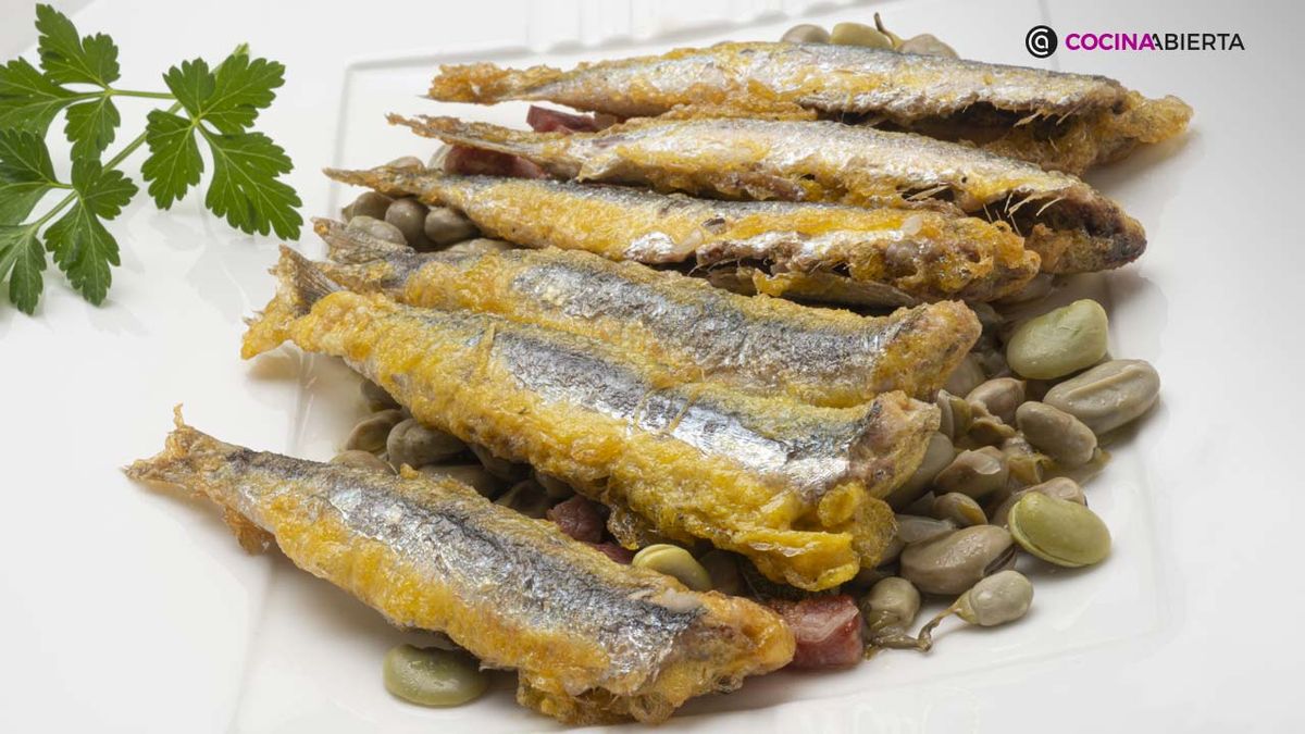 KARL6942 anchoas habitas xl