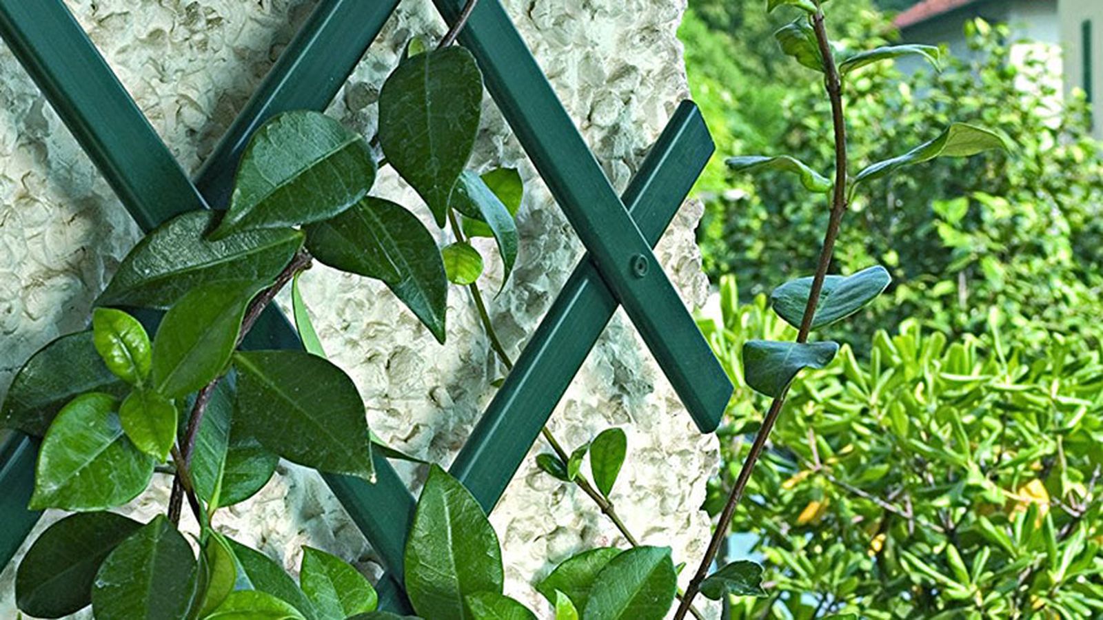 Cómo colocar una celosía de plástico para enredaderas